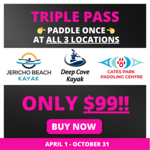 Triple Pass - 3 Locations for only $99