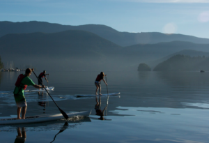 three stand up paddleboaders on indian arm