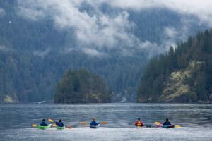 Group of kayakers on a tour