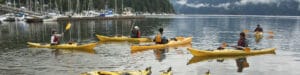 4 Kayakers take a lesson in Deep Cove